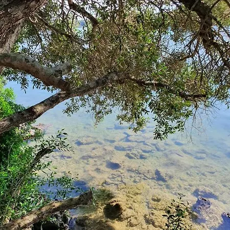 Πανσιόν Perla D'oriente - *